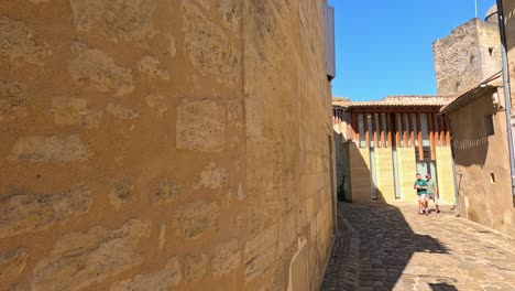 paredes cubiertas de vid en un pintoresco pueblo francés