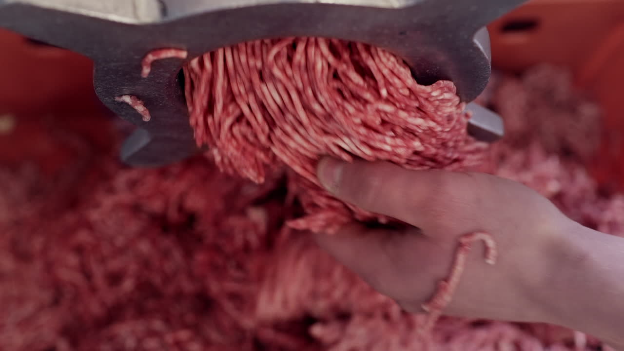 Minced meat is being released by industrial meat grinder at meat processing factory