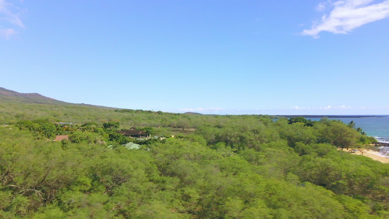 vista aérea del bosque hawaiano para revelar la playa de makena en la isla de maui, estados unidos