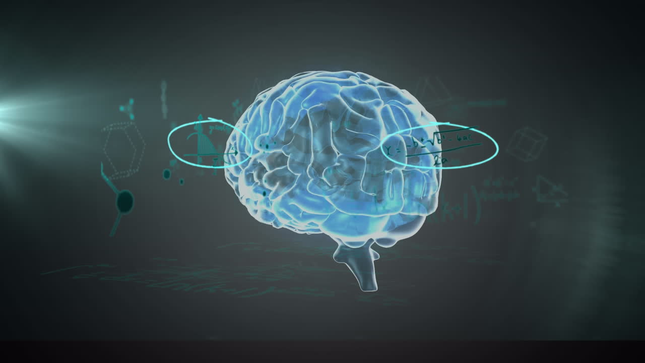 수학적 방정식은 녹색 배경의 빛의 반점에 대해 회전하는 인간 뇌 위에 떠 있습니다.