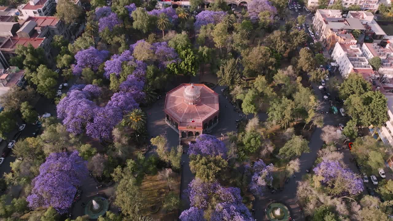 Overhead Shot Of Unique Garden Park In Mexico City At Sunny Day