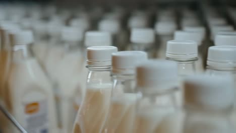 rows of milk bottles