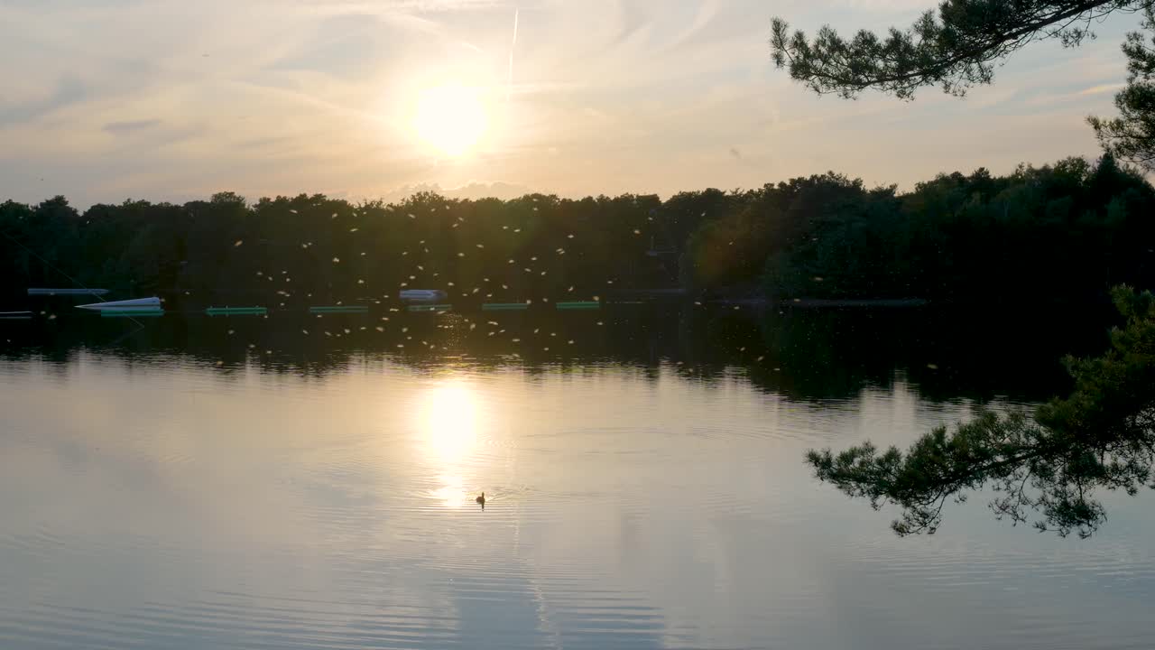 조용 한 호수 위 에 해 가 지는 것