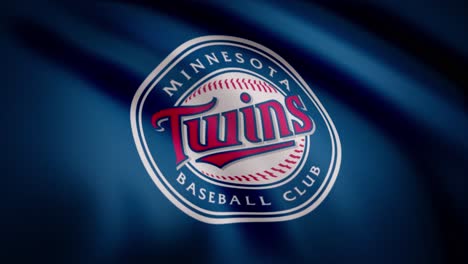 minnesota twins baseball logo on flag