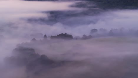 misty landscape
