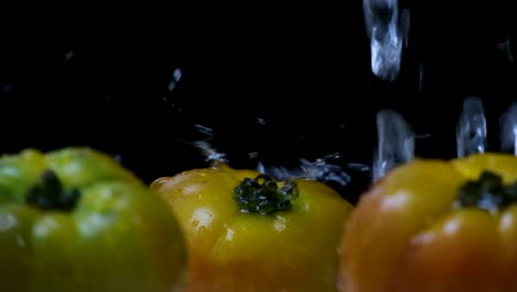 disparo en cámara lenta de tomates grandes amarillos y verdes siendo lavados o salpicados de lluvia, frente a un fondo negro