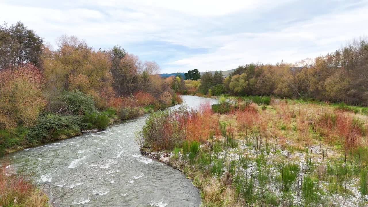 A tranquil river winds through vibrant autumn foliage under soft daylight at Lake Tekapo, New Zealand