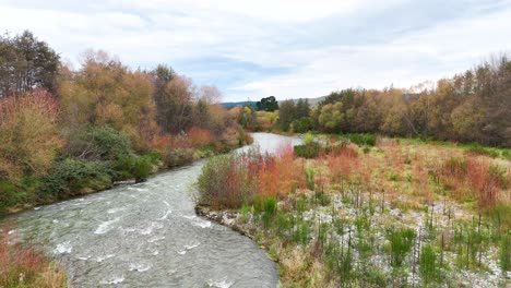 a tranquil river winds through vibrant autumn foliage under soft daylight at lake tekapo, new zealand