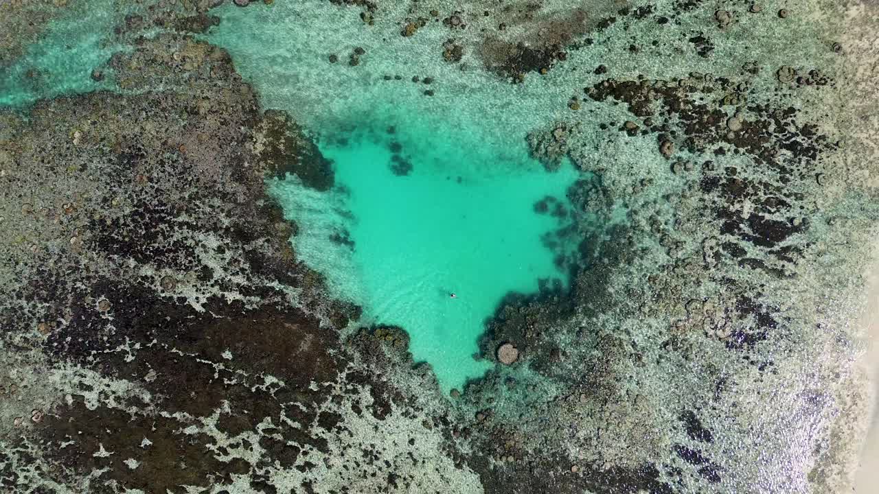 Aerial drone Bird's-eye shot of coral reef swimming hole with person swimming tropical travel destination holiday Honeymoon Beach Pacific Islands Vanuatu