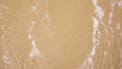 wet sand and sea foam