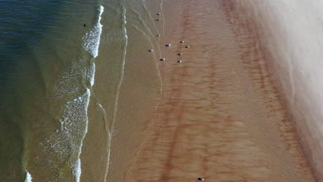 a low top down shot over a beach