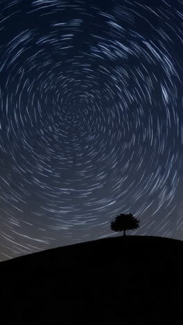 star trails over a hill with a tree