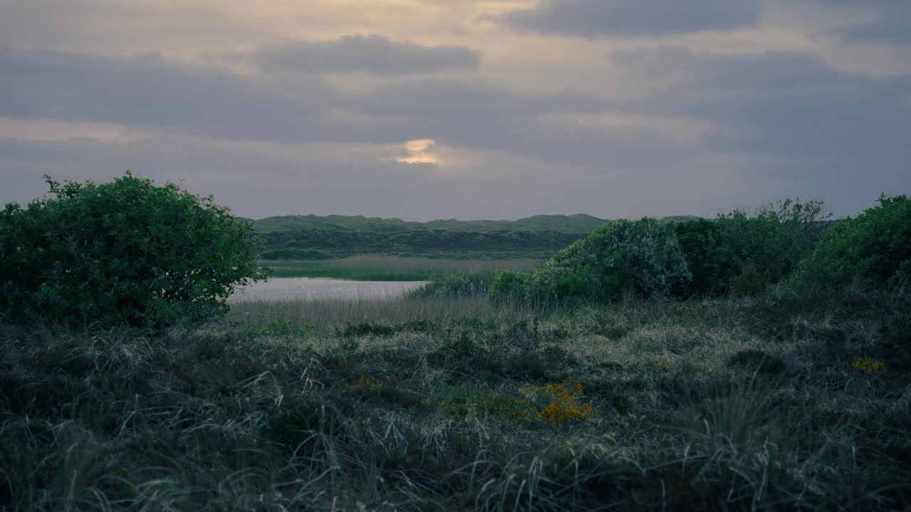 un lago y arbustos en un prado verde