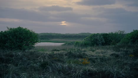 Ein-See-Und-Büsche-Auf-Einer-Grünen-Wiese