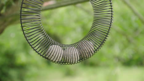 Vogelfutterring-Im-Garten-Aus-Nächster-Nähe