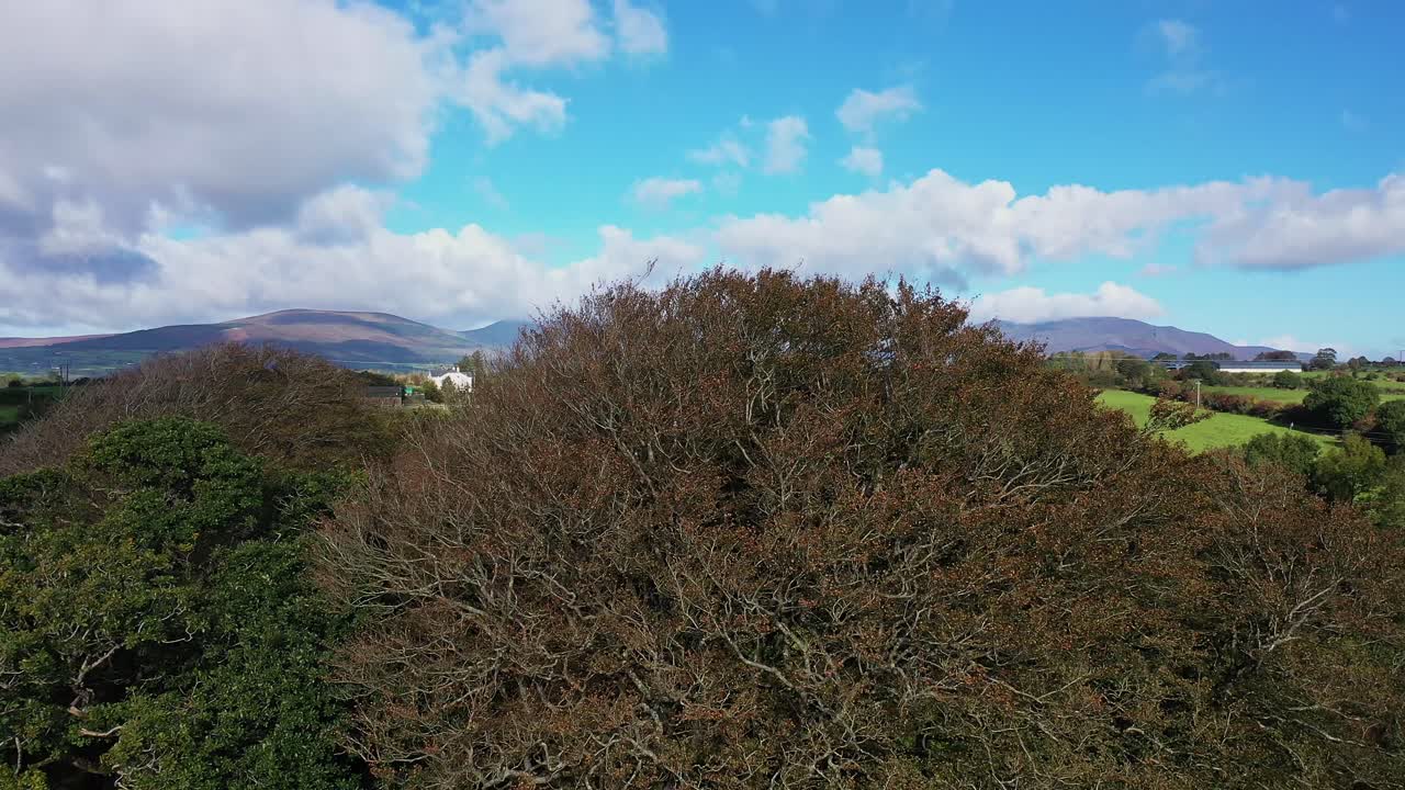 vista aérea ascendente de un árbol colorido con campos verdes y montañas en la distancia y un cielo nublado azul