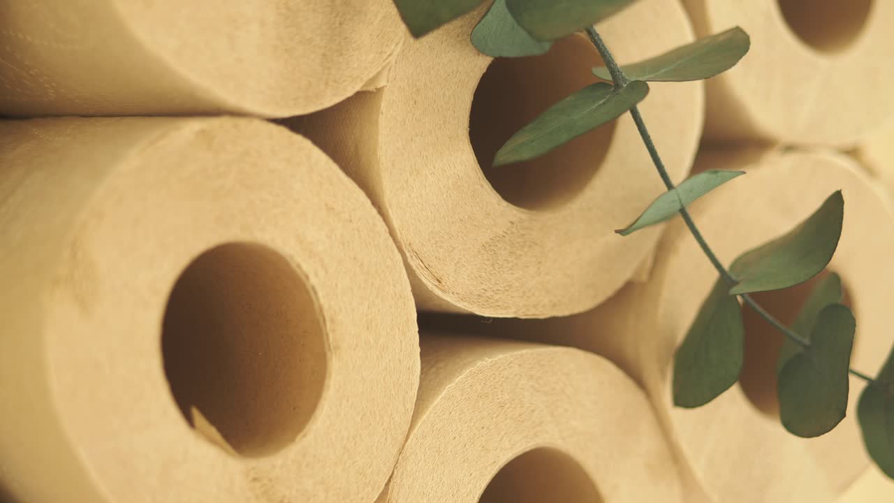 Sustainable Toilet Paper with Eucalyptus Decor