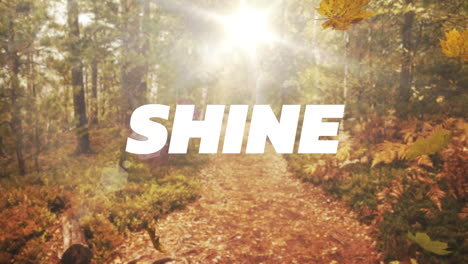 animation of shine text over autumn trees