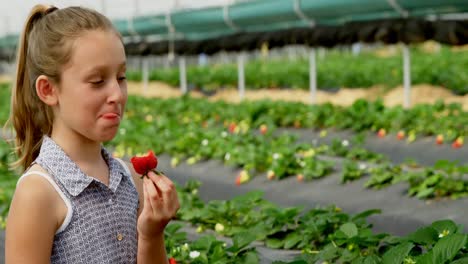 girl eating strawberry in the farm 4k