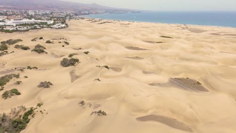 sand dunes desert against seascape in maspalomas gran canaria deserts near seashore