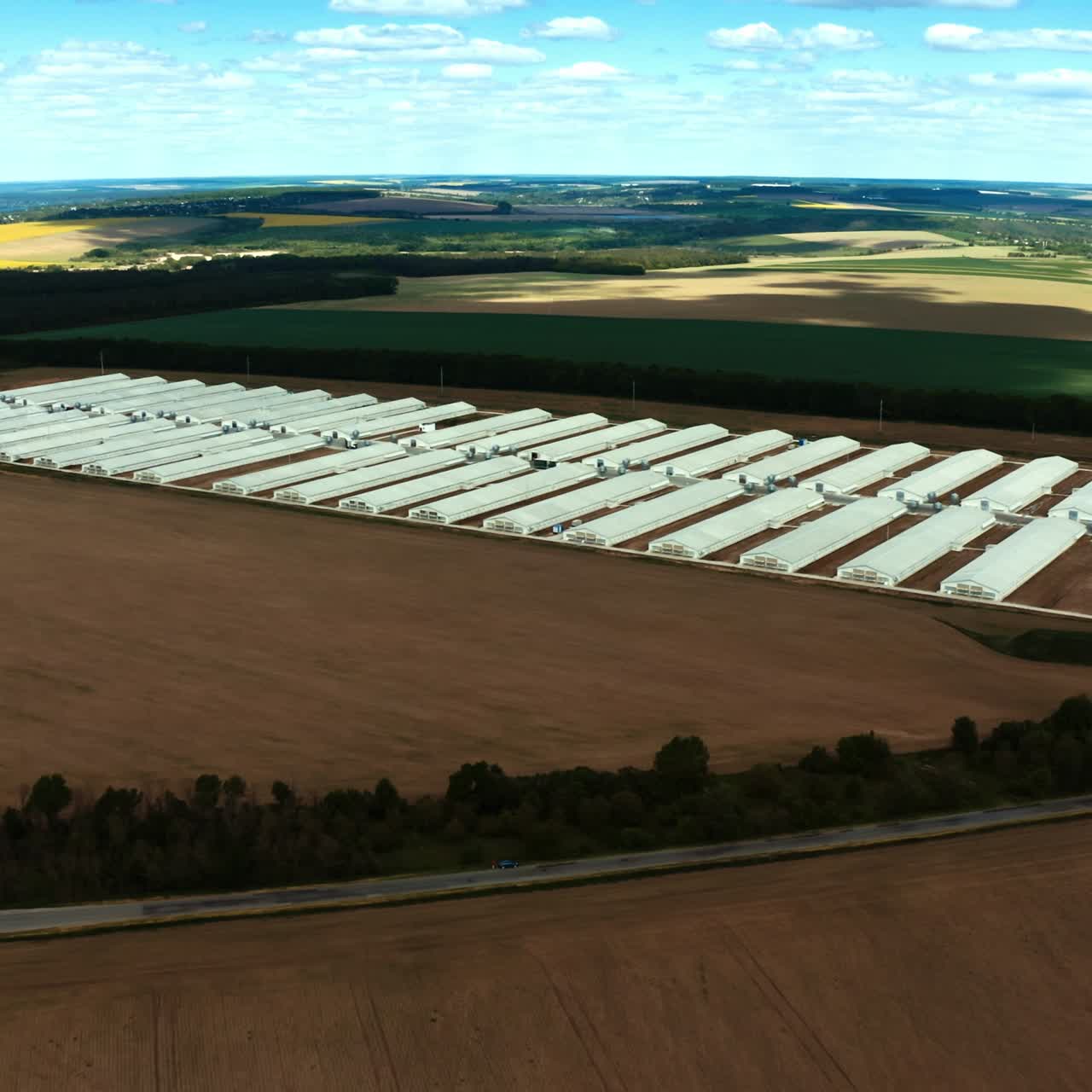 Exterior of large farm on an agricultural field. Modern factory with white buildings on nature background. Aerial view.