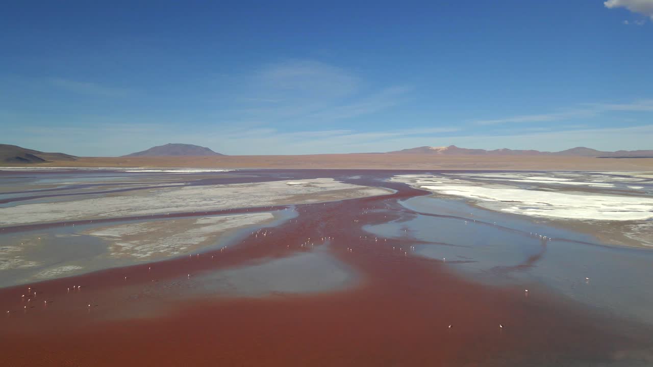 Drone flight over full Laguna Colorada expanse with red hues and surrounding crater formations