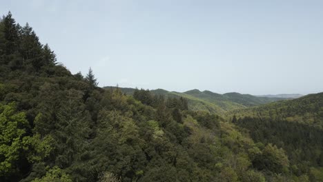 green forest blanketing mountain slopes under pristine blue sky, revealing expansive wilderness landscape with lush vegetation and serene natural beauty extending across distant horizon