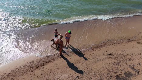 aerial footage of woman in bikini playing with vizsla dog on baltic sea shoreline joyful summer scene on a sunny day captured by drone on scenic latvian coast