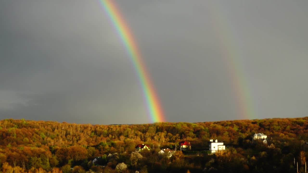 arco iris en el cielo después de la lluvia sobre el bosque.