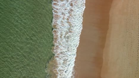 drone captures crystal-clear blue water and perfect glistening white sand at palm beach near sydney, australia