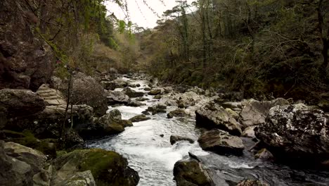 public footpath along the river glaslyn, near beddgelert, north wales, gwynedd, snowdonia national park, wales, uk