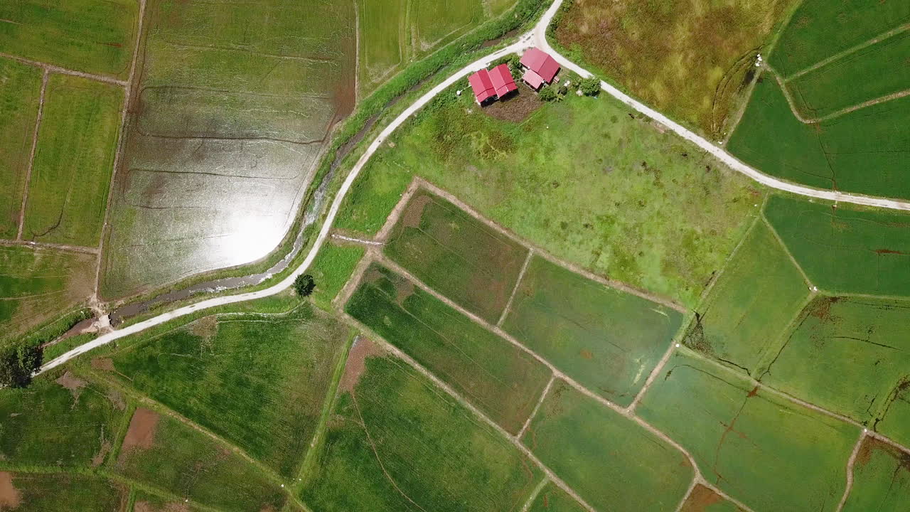 imágenes de drones 4k campos de arroz langkawi