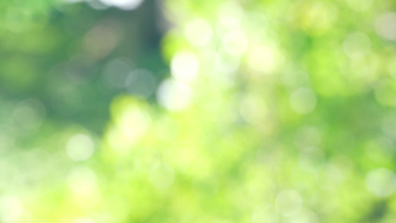 hermoso jardín natural verde fondo borroso, borroso verde bokeh luz jardín natural al aire libre, 4k.