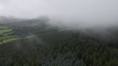 Drone-shot-of-a-mountain-valley-with-a-forest-and-low-lying-clouds