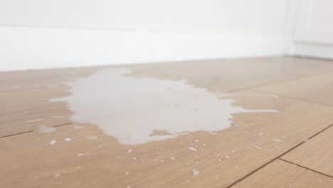 milk spill on wooden floor