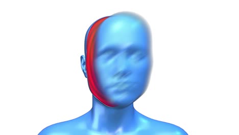 concepto de arte abstracto del cuerpo humano azul en color blanco. personaje 3d realista hombre o mujer en estilo de movimiento moderno creativo. diseño psicodélico de colores gráficos mínimos. animación de bucle de moda brillante.