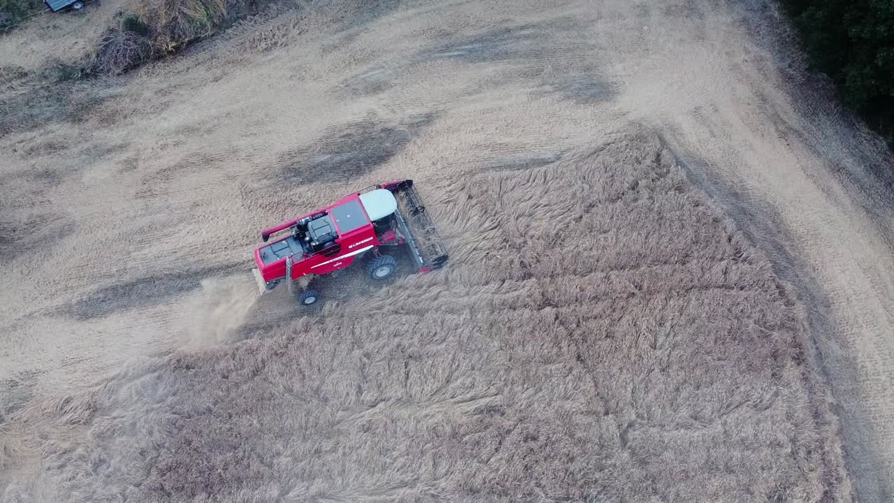 밀밭을 타작하는 수확기의 먼지가 많은 조감도