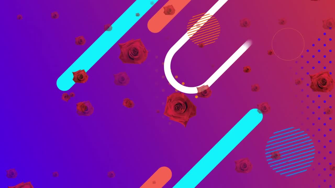 animación de rosas rojas sobre formas coloridas sobre un fondo púrpura