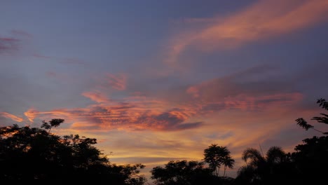 Sunset-hues-painting-the-sky-over-silhouetted-trees,-with-a-solitary-bird-in-flight