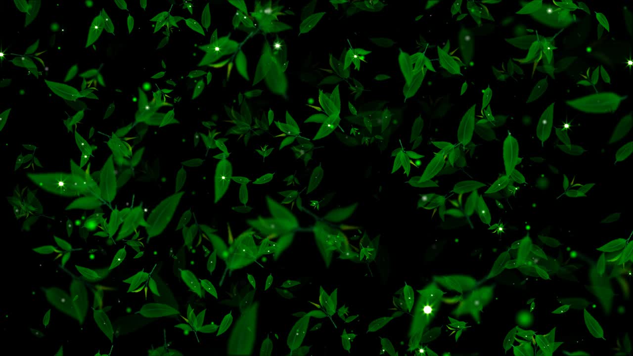 hojas de té con brillo. hojas de te volando. bucle