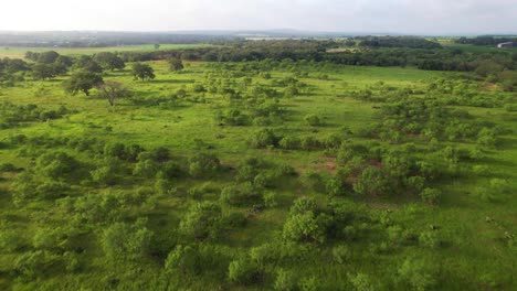 Imágenes-Aéreas-De-Un-Campo-Vacío-En-Stonewall-Texas