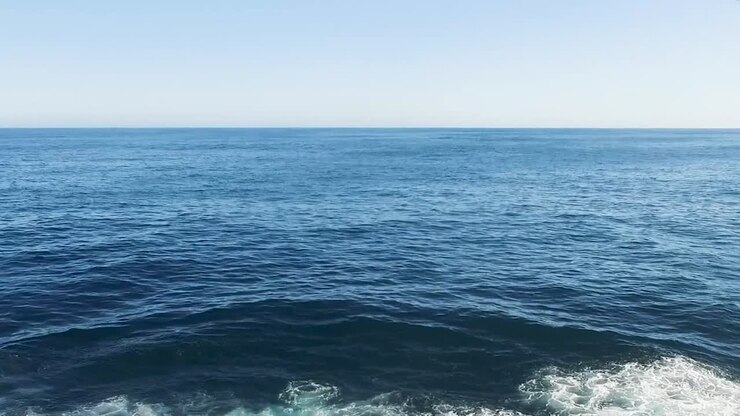 Balena franca australe che emerge - Drone