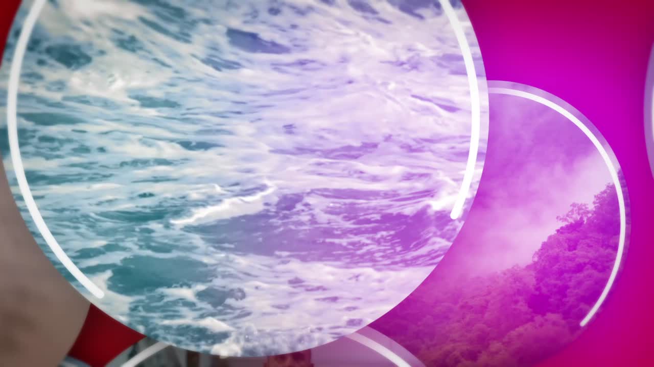 Multi-Image Collage Featuring Boxing, Nature, and Cityscapes