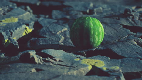 bayas de frutas de sandía en piedras rocosas