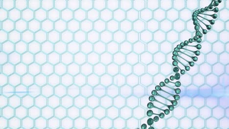 Animation-of-a-blue-dna-strain-spinning-over-a-grid