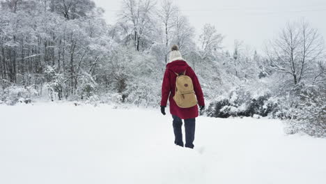 woman walking in the snow during the day in wintertime in bieszczady national park, subcarpathian voivodeship, poland, wide shot, handheld