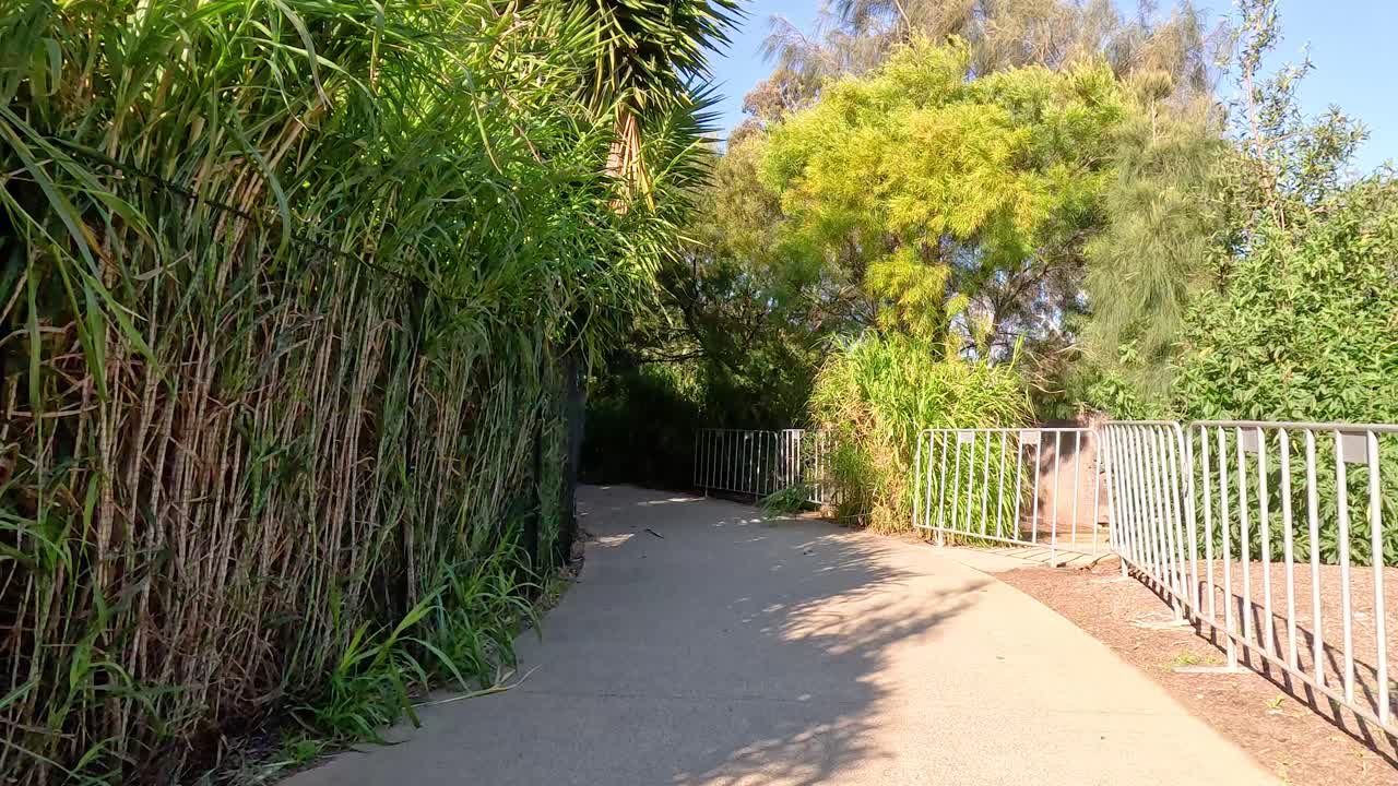 un paseo por la exuberante vegetación en el zoológico de melbourne