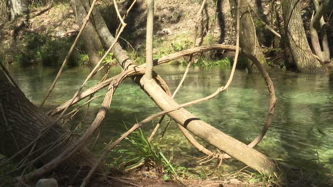 조용한 숲의 하천