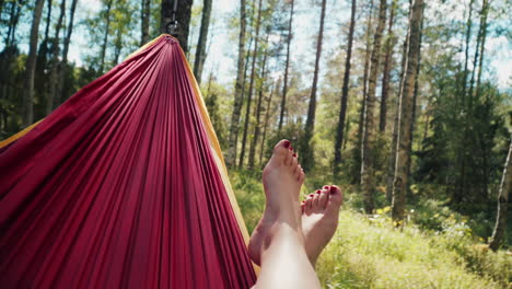 relaxing on a hammock by the edge of the forest - mid shot