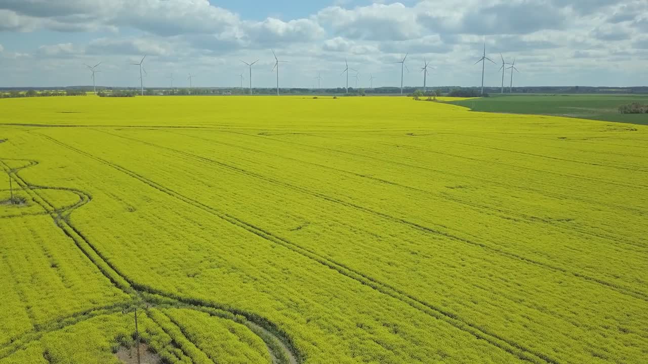 풍력 발전소를 배경으로